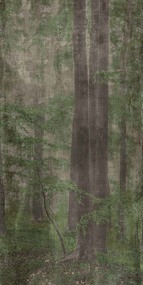 Фото ABK Керамическая плитка  W&S D+ WOODS C   160X320