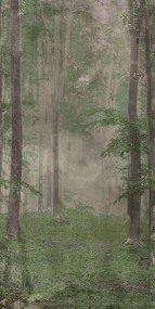 Фото ABK Керамическая плитка W&S D+ WOODS B 160X320